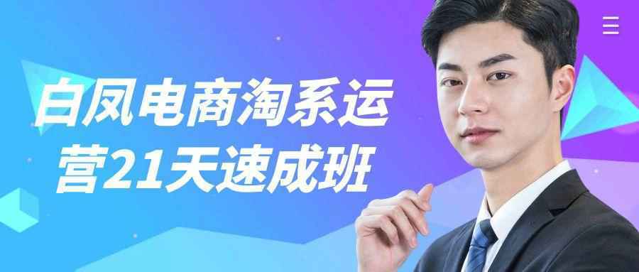 白凤电商淘系运营21天速成班-大掌鹅智源汇