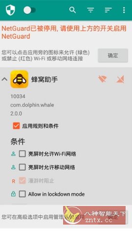 NetGuard网络护卫 v2.334高级版-大掌鹅智源汇