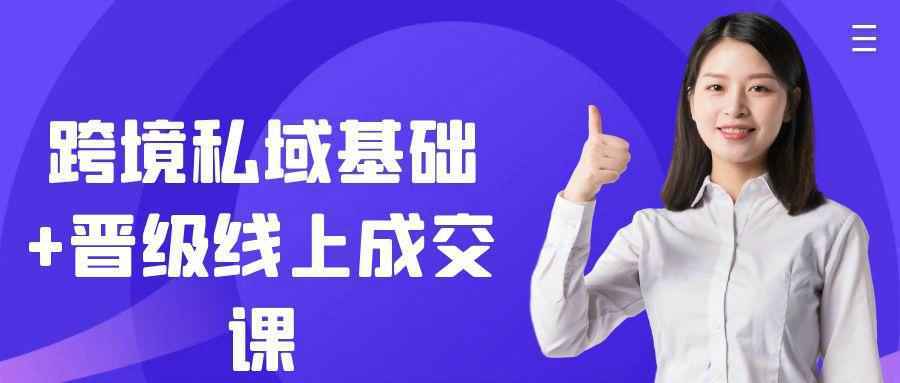 跨境私域基础+晋级线上成交课-大掌鹅智源汇